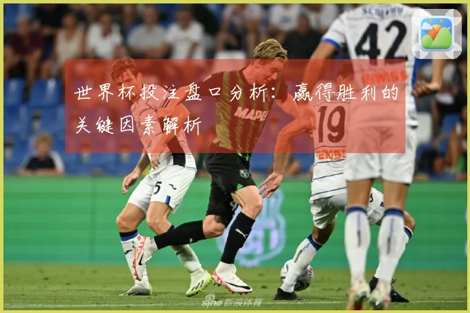 世界杯投注盘口分析：赢得胜利的关键因素解析