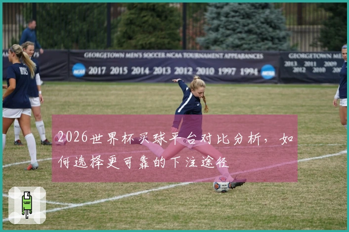 2026世界杯买球平台对比分析，如何选择更可靠的下注途径