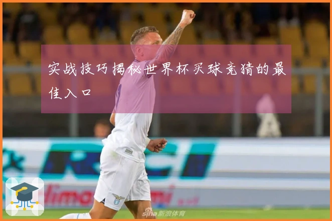 实战技巧揭秘世界杯买球竞猜的最佳入口
