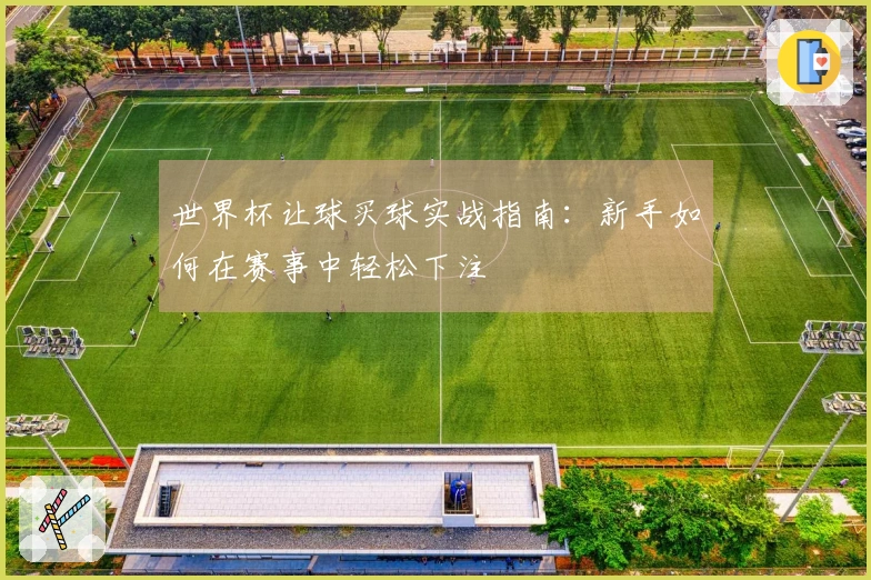 世界杯让球买球实战指南：新手如何在赛事中轻松下注