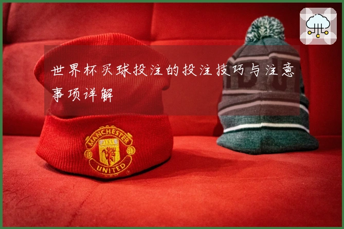 世界杯买球投注的投注技巧与注意事项详解