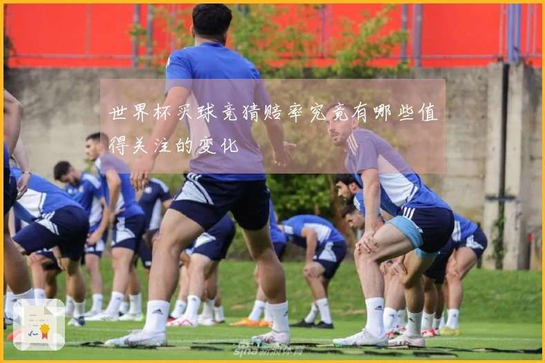 世界杯买球竞猜赔率究竟有哪些值得关注的变化